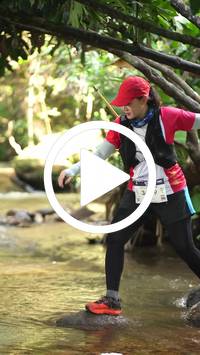 BIB:  <button type="button" onclick="openModal(27825342)" class="btn btn-primary btn-sm float-right" data-toggle="modal" data-target=".modal-high-quality">
                <i class="fa fa-download"></i> Download
                </button>